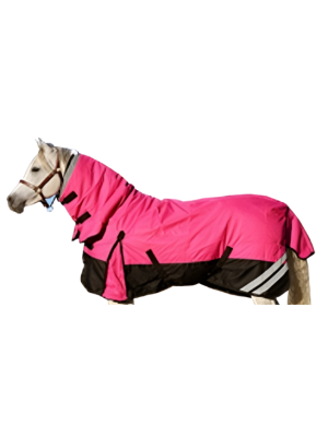 Turnout Horse Blanket
