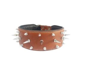 Dog Collar