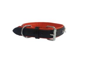 Dog Collar