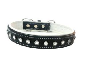 Dog Collar