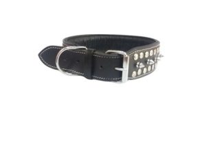 Dog Collar